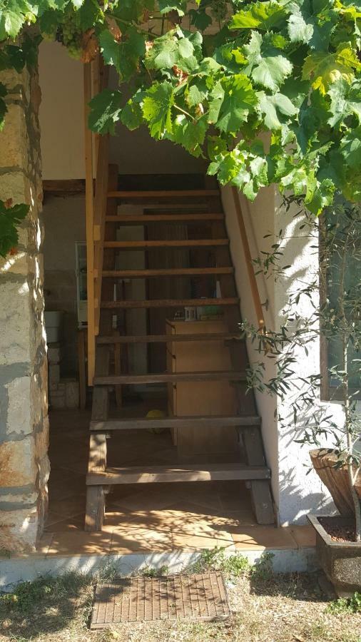 Rural Apartment Geja Umag Eksteriør billede